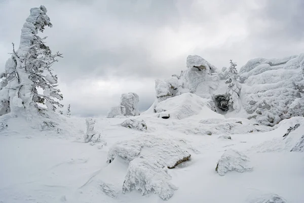 雪に覆われた石の山脈の森林 — ストック写真