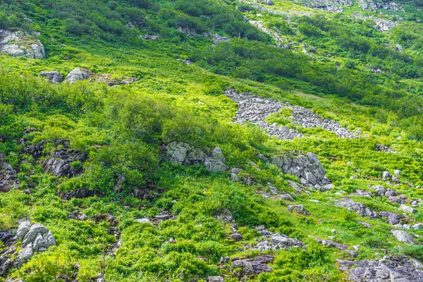 山坡上覆盖着岩石和绿草 — 图库照片