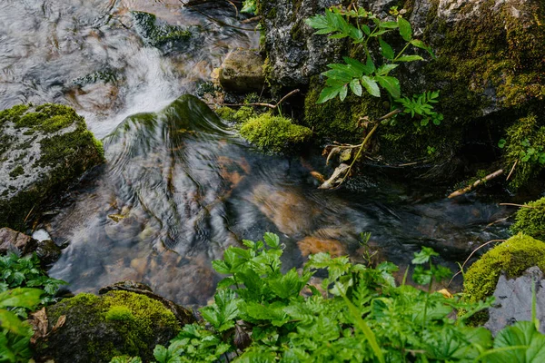 Kleiner Gemütlicher Wasserfall Wald Sonnigen Tagen Gebirgsfluss Stürzt Von Klippe — Stockfoto