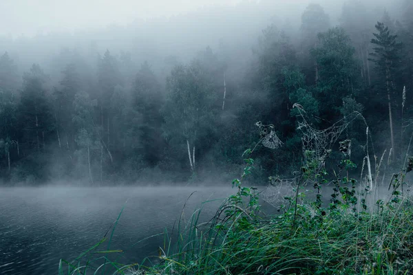 Niebla Sobre Superficie Del Agua Lago Neblina Mañana Río — Foto de Stock