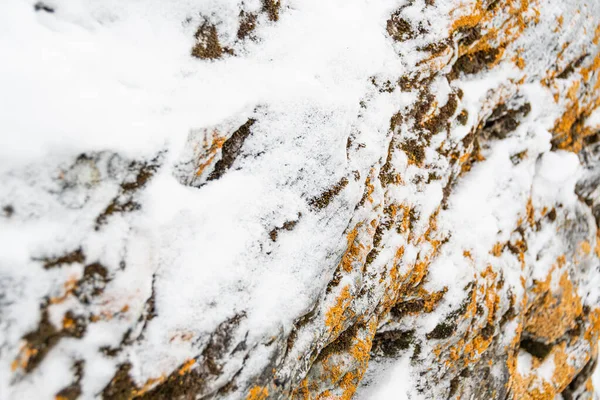 Mur Pierre Avec Touche Gel Jour Hiver — Photo