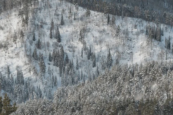 Нежные Холмы Покрытые Лесом Снегом Зимняя Горная Долина — стоковое фото