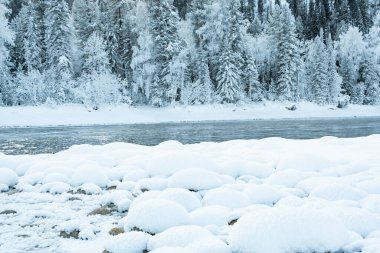 Kış nehrinin yanındaki karanlık kar ormanı. Göl kıyısı buz ve buzla kaplı. Soğuk yüzünden suyun üzerinde hafif buz gibi sis.