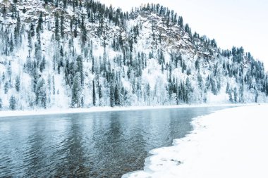 Karlı ormanlı gölün buzlu kıyısı. Soğuk hava, soğuk hava yüzünden donmuş nehir yatağı.