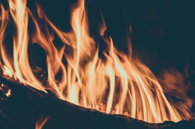 Ahşap ateşte yanıyor. Geceleri çalı çırpı ve turizm ateşi sıcaklık ve ışık verir..