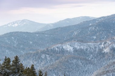 Kış ormanı manzarası ufukta kar yamaçlı tepeler