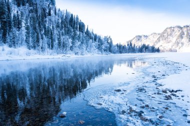 Nehir kıyısındaki kar ormanı. Sudaki buz ağaçlarının yansıması.