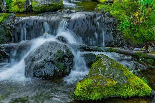 Flusso Forestale Nella Foresta Pluviale Cascata Tra Rocce Muschiate Verde — Foto Stock