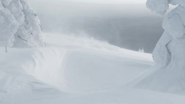 霧氷の木々の間の山の斜面のドリフトに吹雪や雪の渦 — ストック動画