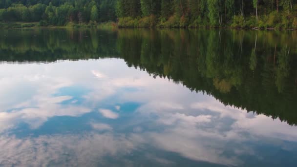 Lago del bosque con reflejo de árboles — Vídeos de Stock