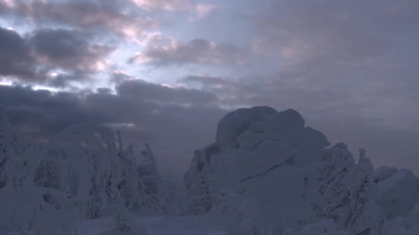 Лес и снежная скала покрыты густыми морозами — стоковое видео