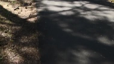 Asfalt yolu boyunca kamera hareketi