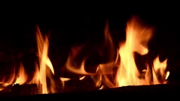 Luminosa llama de hoguera de leña ardiente — Vídeo de stock
