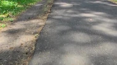 Parkın asfalt yolunda trafik var. Sarhoş bir adamın işi.