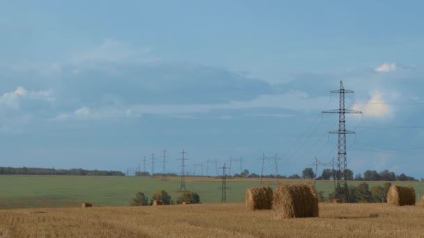 Rundballen mit trockenem Heu auf einem Feld mit Stromleitungen. Zeitraffer ländlicher Landschaft mit fließenden Wolken — Stockvideo