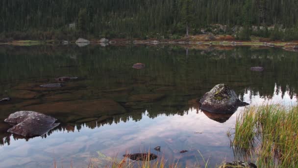 Orilla del lago con árboles reflejados en agua espejo — Vídeos de Stock