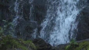 Kahverengi yosunlu kayaların üzerinden akan temiz nehir