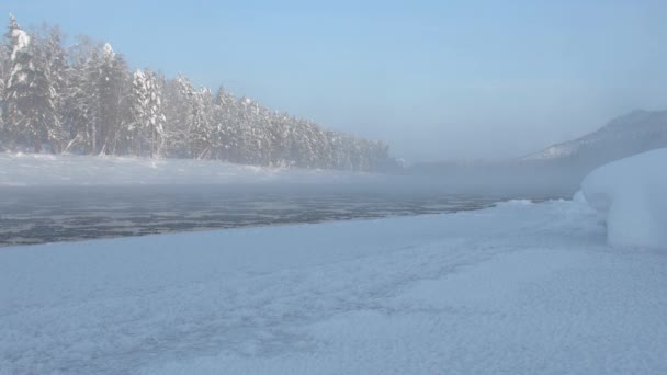 Rzeka i pokryte śniegiem drzewa wzdłuż brzegu rzeki — Wideo stockowe