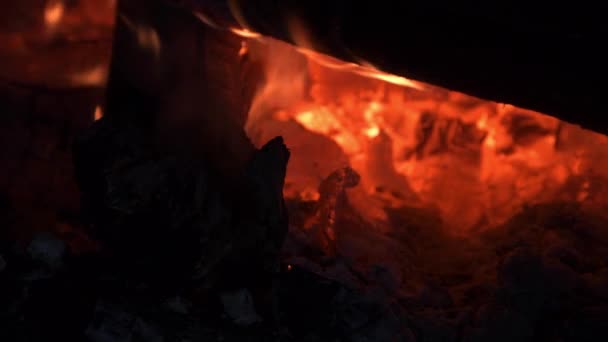 Flammes de grumes en feu dans l'obscurité — Video