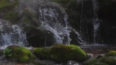 Yosunlu kayaların üzerine düşen küçük şelaleler
