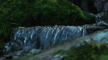 Küçük dere yosunlu kayaların arasında akıyor