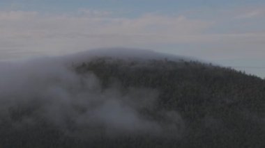 Clouds scudding over the forest canopy