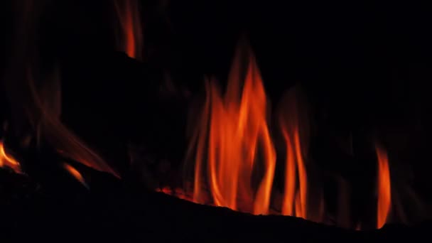 Zápalné polena oheň na černém pozadí — Stock video