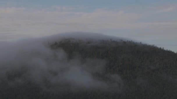 Облака разлетаются над лесным пологом — стоковое видео