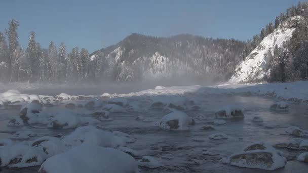 Blick auf Frost auf Baum bei Nebel — Stockvideo