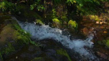 Stream of water in green moss