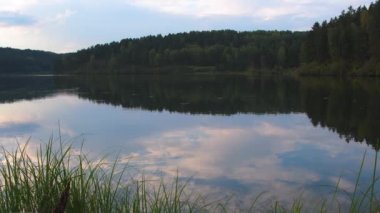 Reflection of trees and blue sky in forest lake