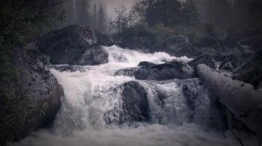 Stream and waterfall among fir forest