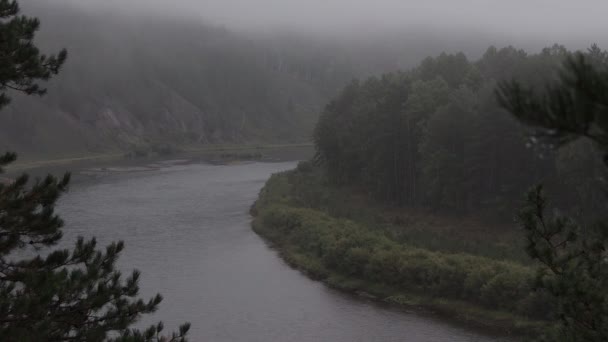 Сельский пейзаж с рекой и туманом — стоковое видео