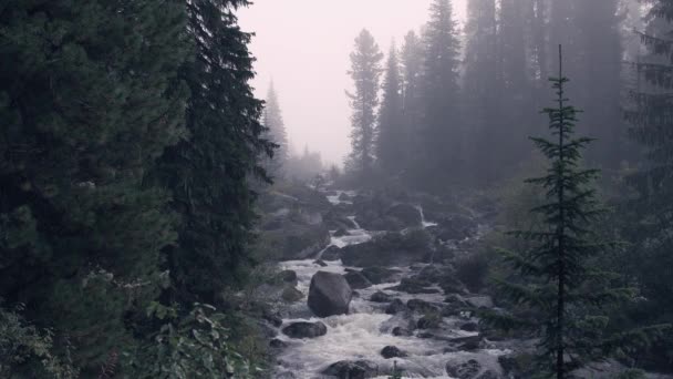 Río de montaña pedregoso rápido — Vídeos de Stock