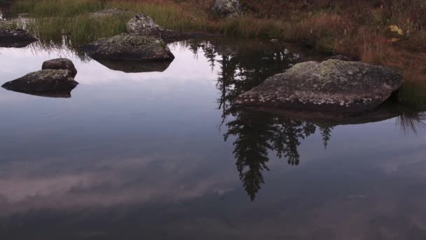 Lago del bosque con rocas en la orilla — Vídeos de Stock