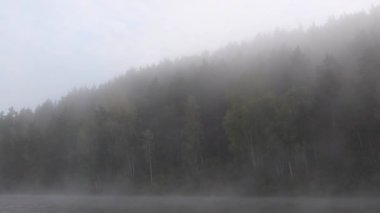 Yoğun sis, su yüzeyinde ormana karşı hareket eder.