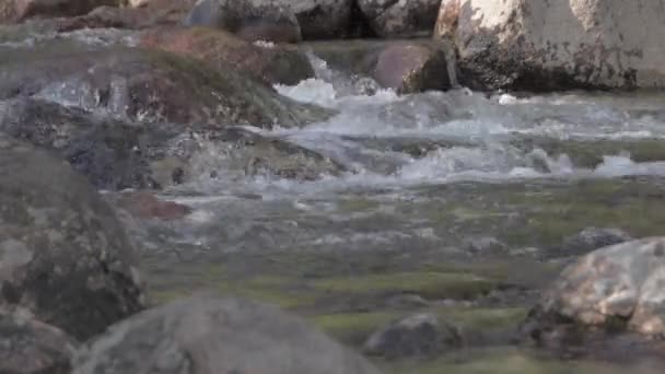 El agua dulce fluye entre las rocas del río — Vídeos de Stock