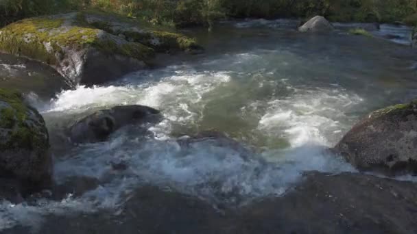 Pohled na potok, který rychle teče mezi skalami. — Stock video