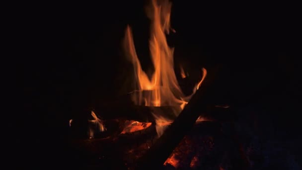 Полум'я вогню в темряві — стокове відео