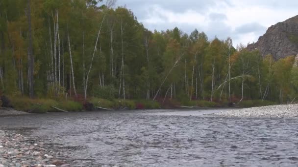Jesienny las na brzegu. Małe fale na wodzie — Wideo stockowe