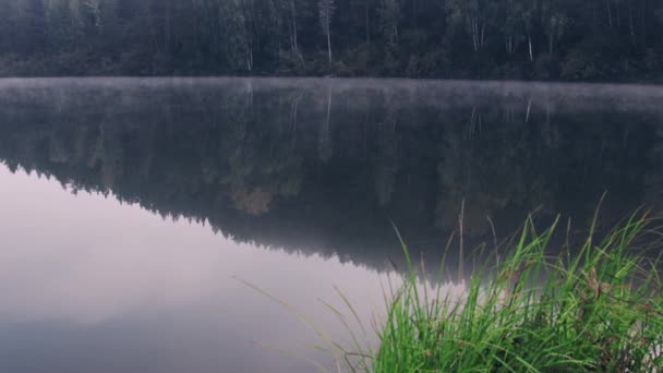 Lago con bosque reflejaba agua clara. Paisaje idílico. — Vídeos de Stock