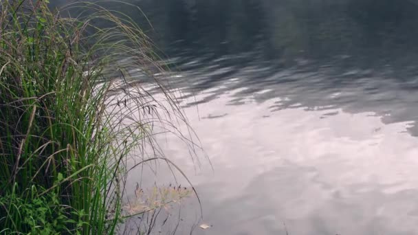 湖の水面に浮かぶ小さな波 — ストック動画