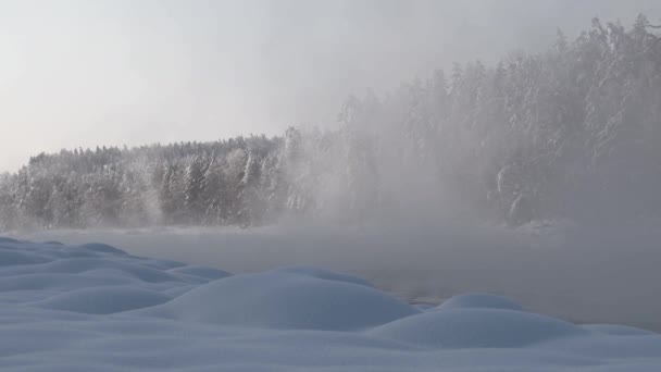 Kleine rivier in bevroren bos bij winterweer — Stockvideo