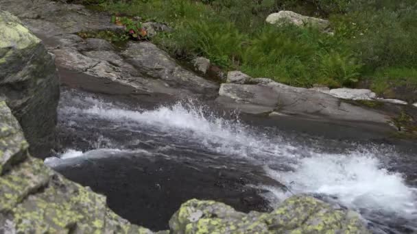 Mountain stream splashes in middle of riverbed. — Stock Video