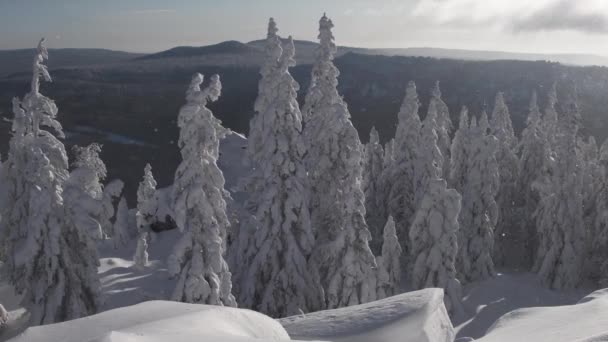 Снежная буря на склоне горы в солнечный день — стоковое видео