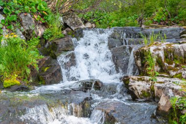 Güz ormanları arasında kristal berrak suyla güzel bir nehir