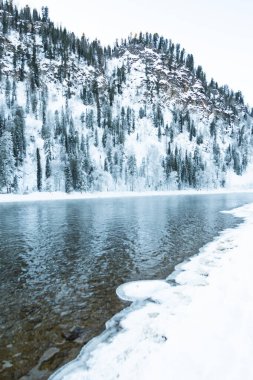 Karlı ormanlı gölün buzlu kıyısı. Soğuk hava, soğuk hava yüzünden donmuş nehir yatağı.