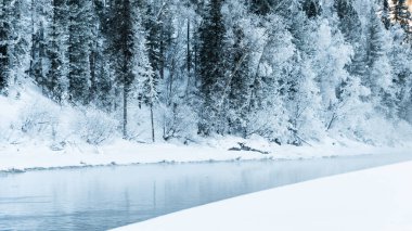 Kış nehrinin yanındaki karanlık kar ormanı. Göl kıyısı buz ve buzla kaplı. Soğuk yüzünden suyun üzerinde hafif buz gibi sis.