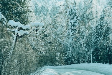Karlı buzlu yol. Kış tehlikesi buzdan yola çıkıyor.