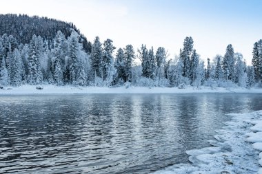 Karlı ormanlı gölün buzlu kıyısı. Soğuk hava, soğuk hava yüzünden donmuş nehir yatağı.
